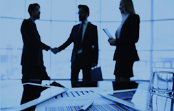 Professional Services